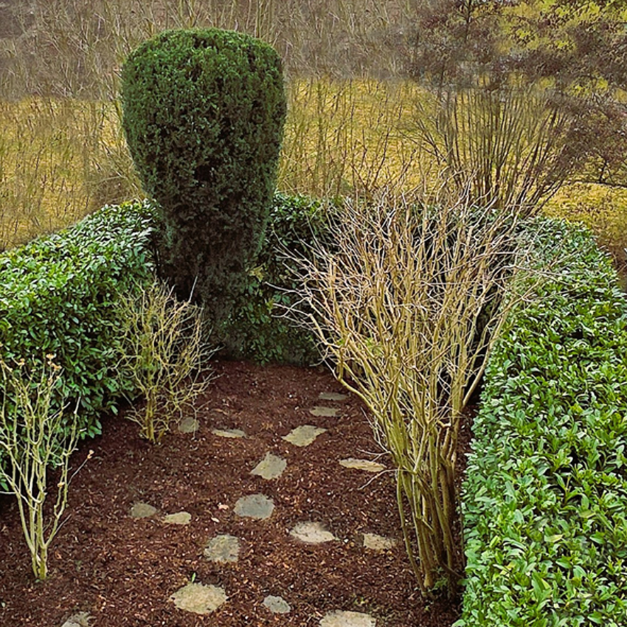 Individuell gestalteter Garten mit Sitzplatz